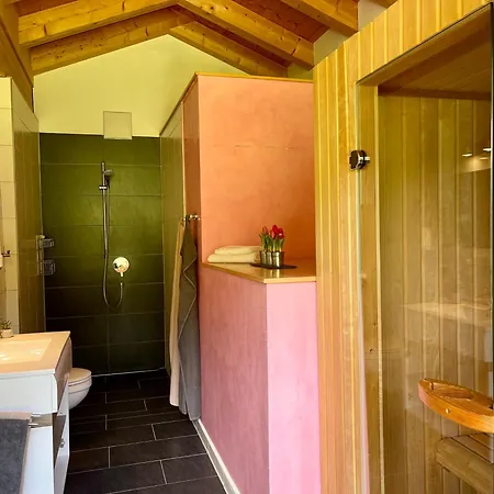 Alpenlodge Charivari - Sommerbergbahn Unlimited Kostenlos Όμπερσντορφ