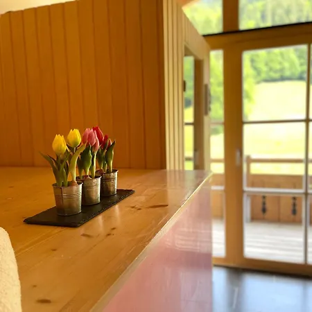 Alpenlodge Charivari - Sommerbergbahn Unlimited Kostenlos 公寓式酒店 奥伯斯特多夫